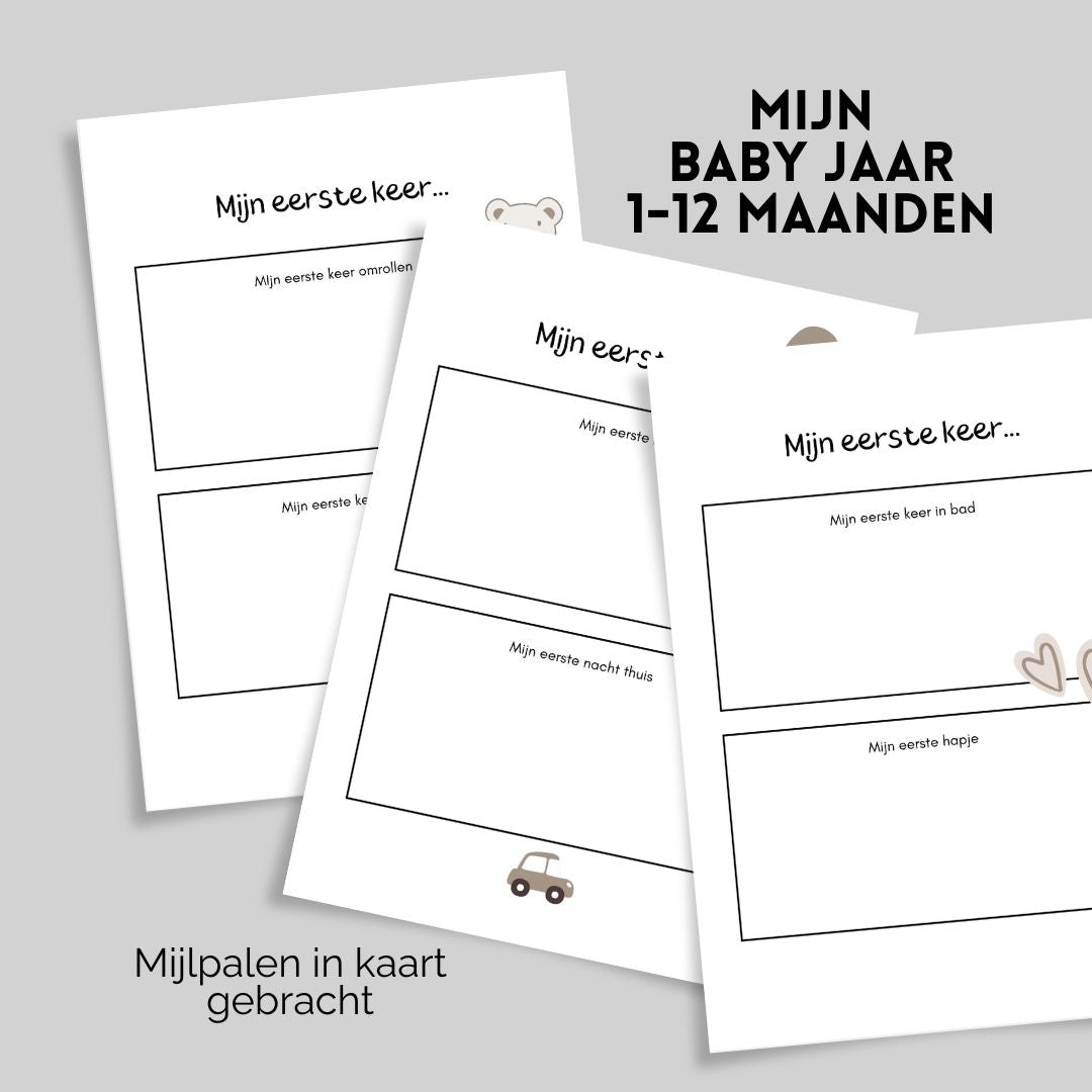 Mijn Babyjaar Boekje