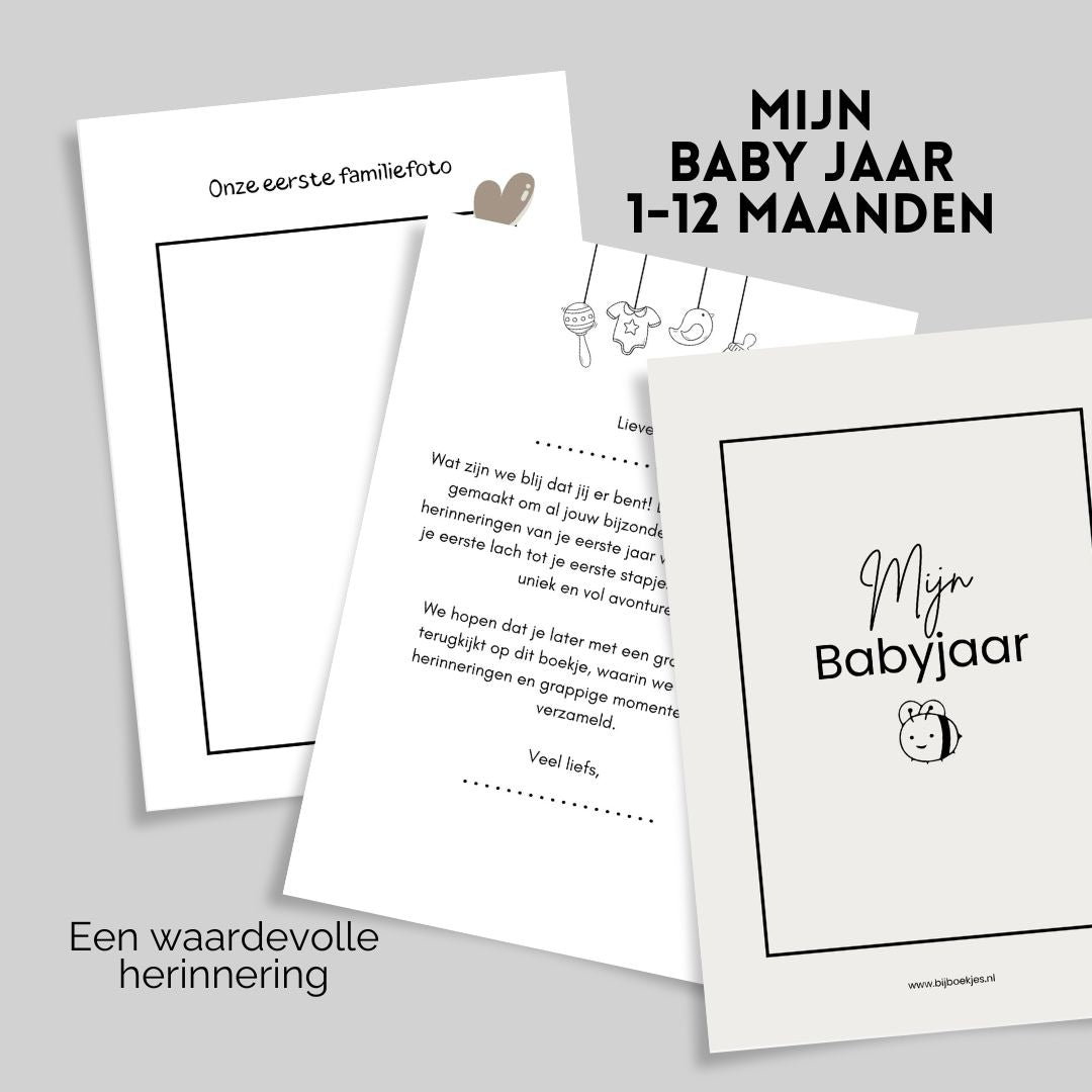 Mijn Babyjaar Boekje