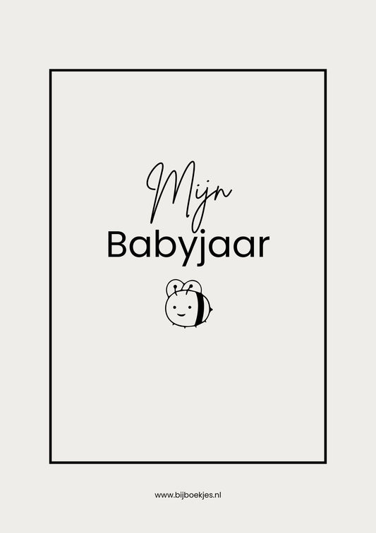 Mijn Babyjaar Boekje