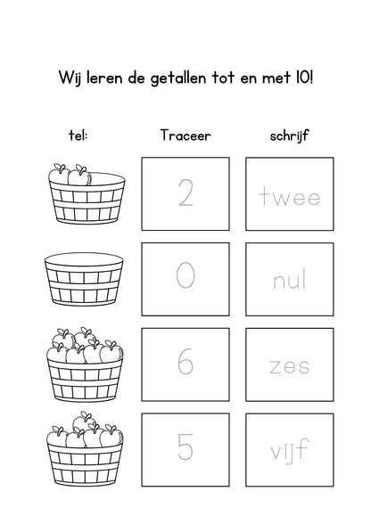 Het grote werkboek rekenen